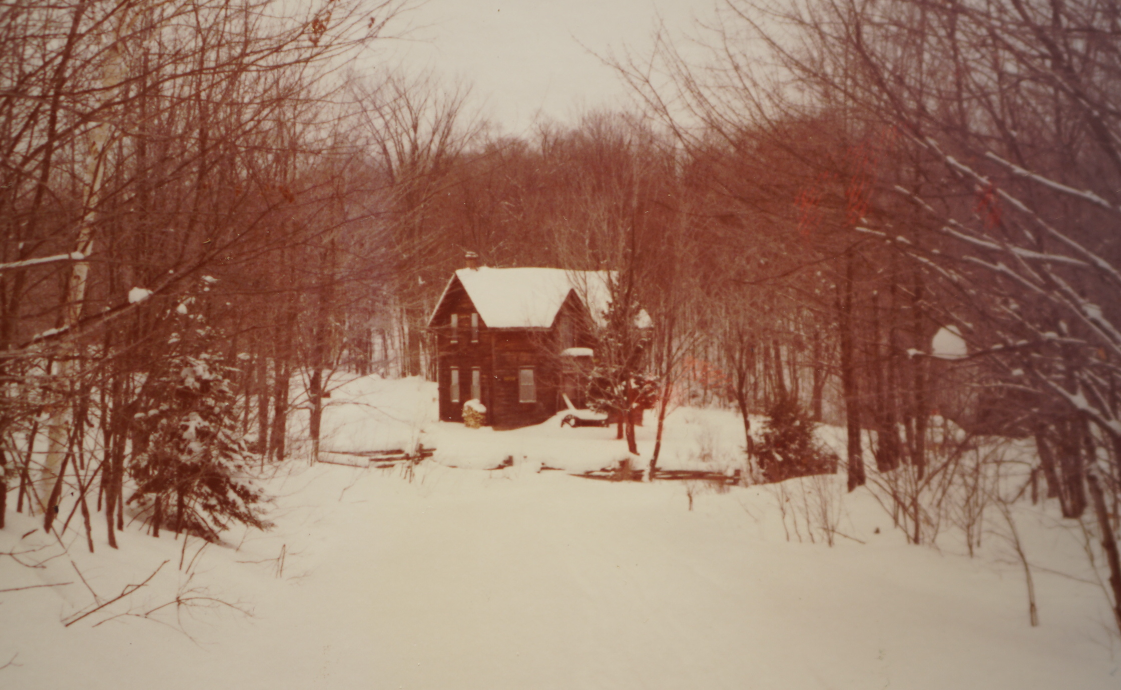 Karin's pioneer home in Nipissing. An olden days photo. It now has a tin roof. 