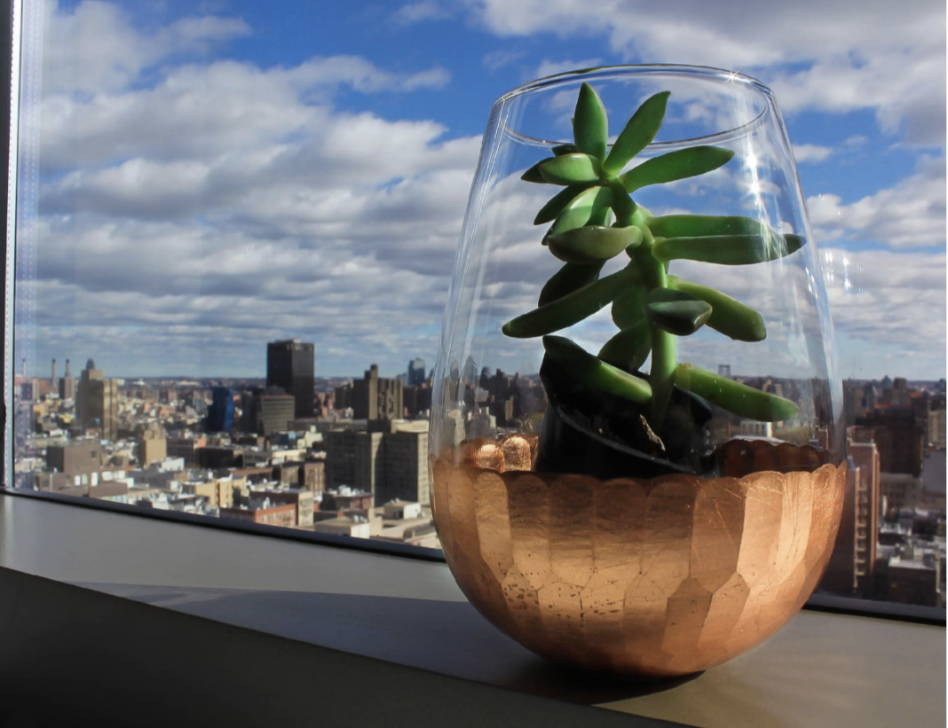 Save More Money on Bills by Being Energy-Conscious