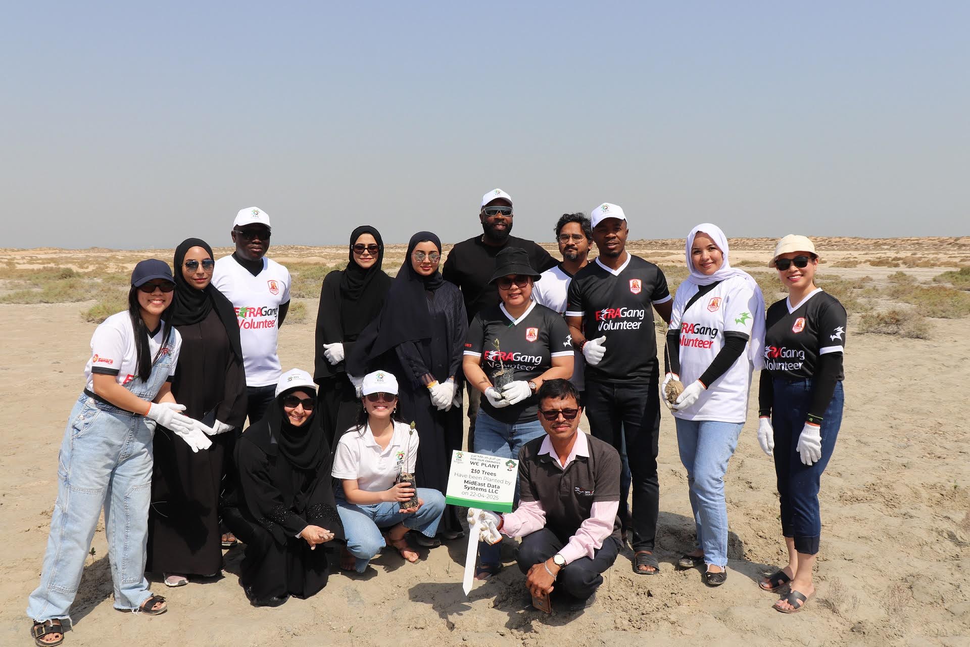 Volunteers planting mangrove trees on Earth Day 2025 at Mangrove Beach, Umm Al Quwain