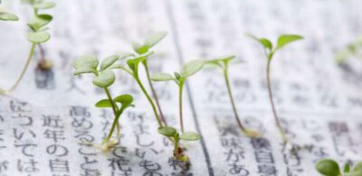 plant-newspaper-japan.jpg