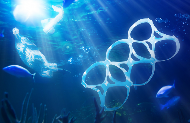 plastic rings choking life at sea