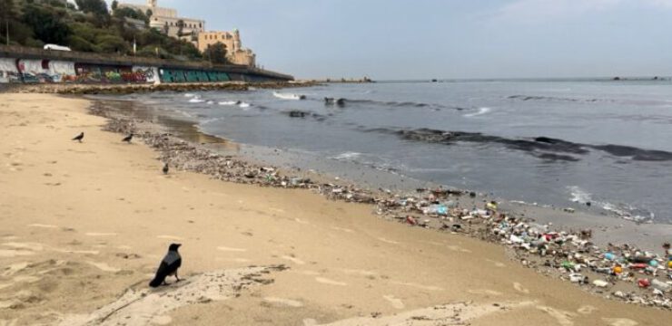 plastic-waste-jaffa-sea-beach.jpg
