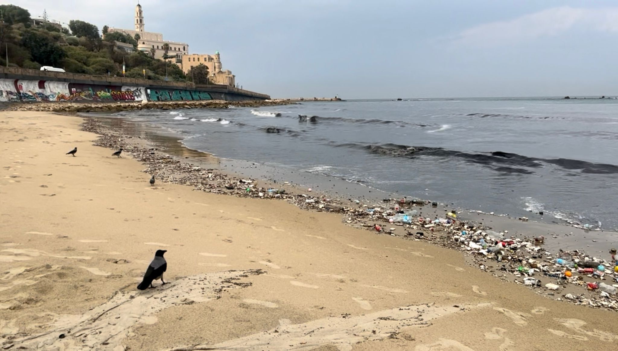 Jaffa plastics waste, storm sewer after rain, beach waste