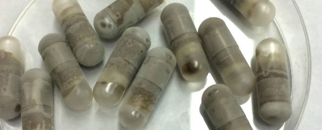 poop microbiome pills