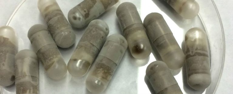 Swallowing poop pills is good for your gut