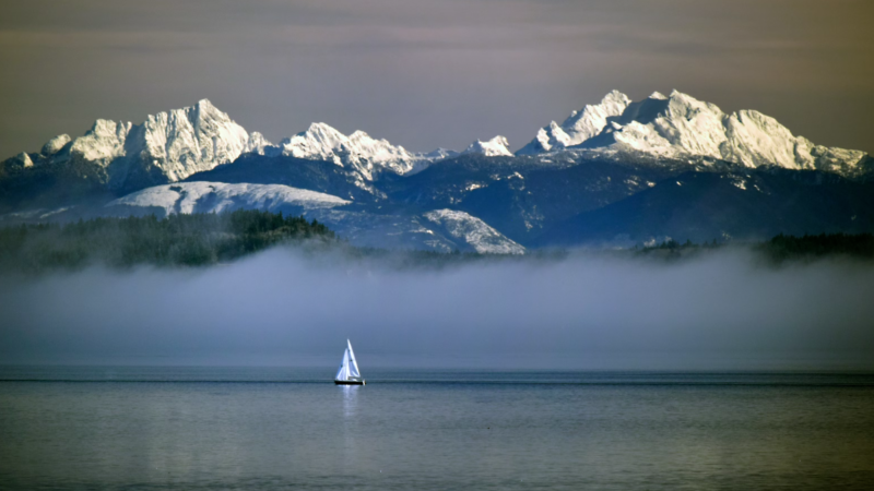 Washington bans marine aquaculture nets for farmed fish in world first