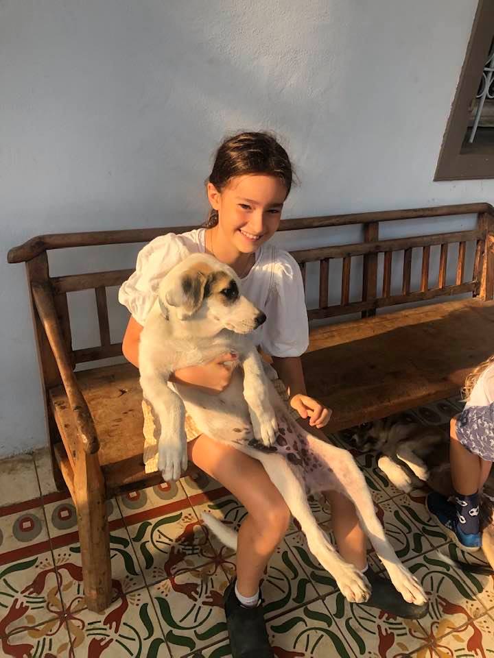 Palestinian puppy, Israeli girl