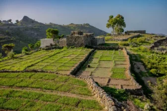 How rainwater pools help farmers in the driest land on earth