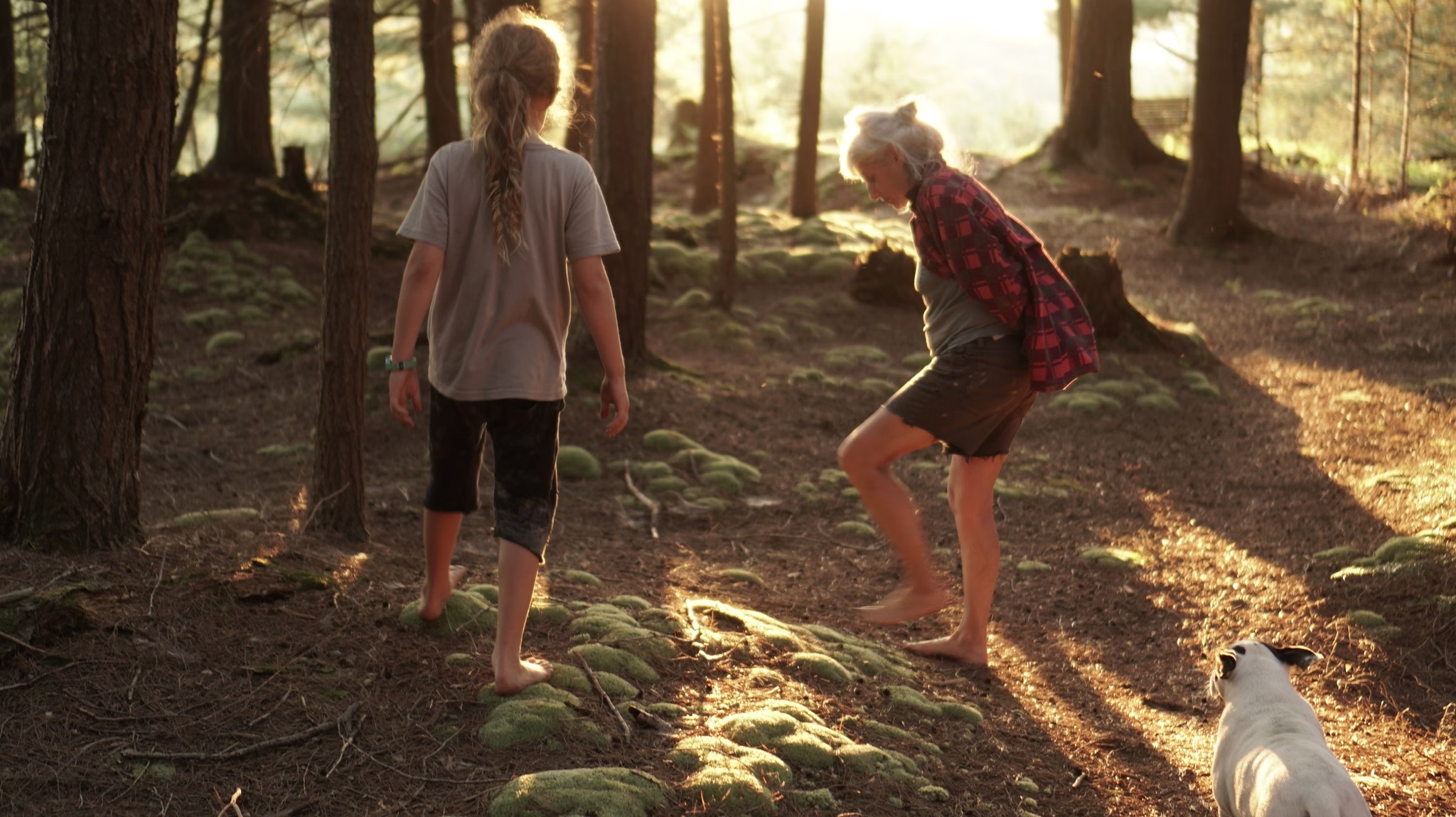 Raven in her forest, Gnomeland in Canada