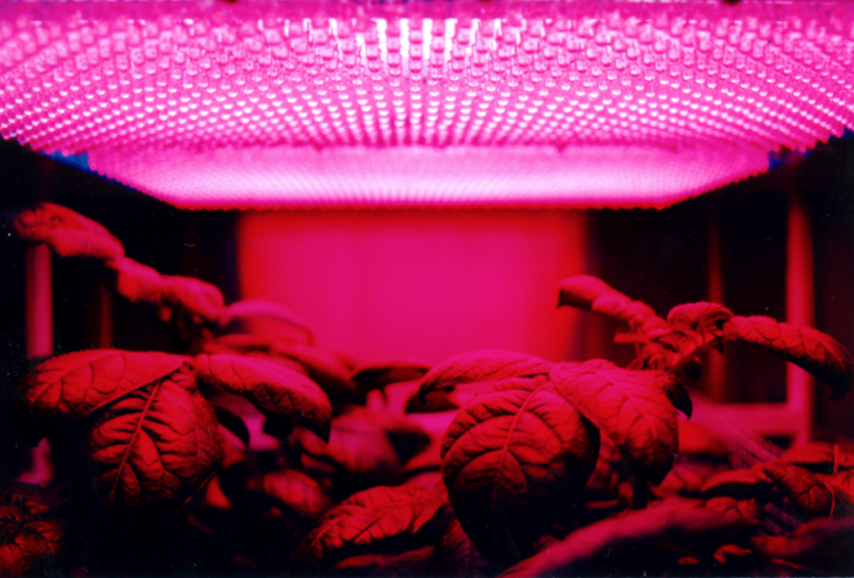 How Light Therapy Works?