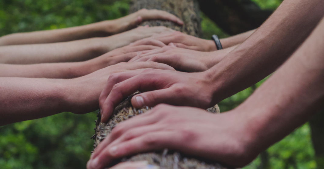 hands on a tree, doing reiki to the tree