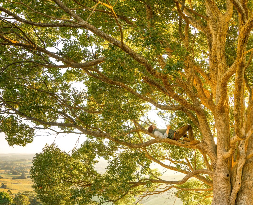 hanging out in a tree, woman on branch of large tree