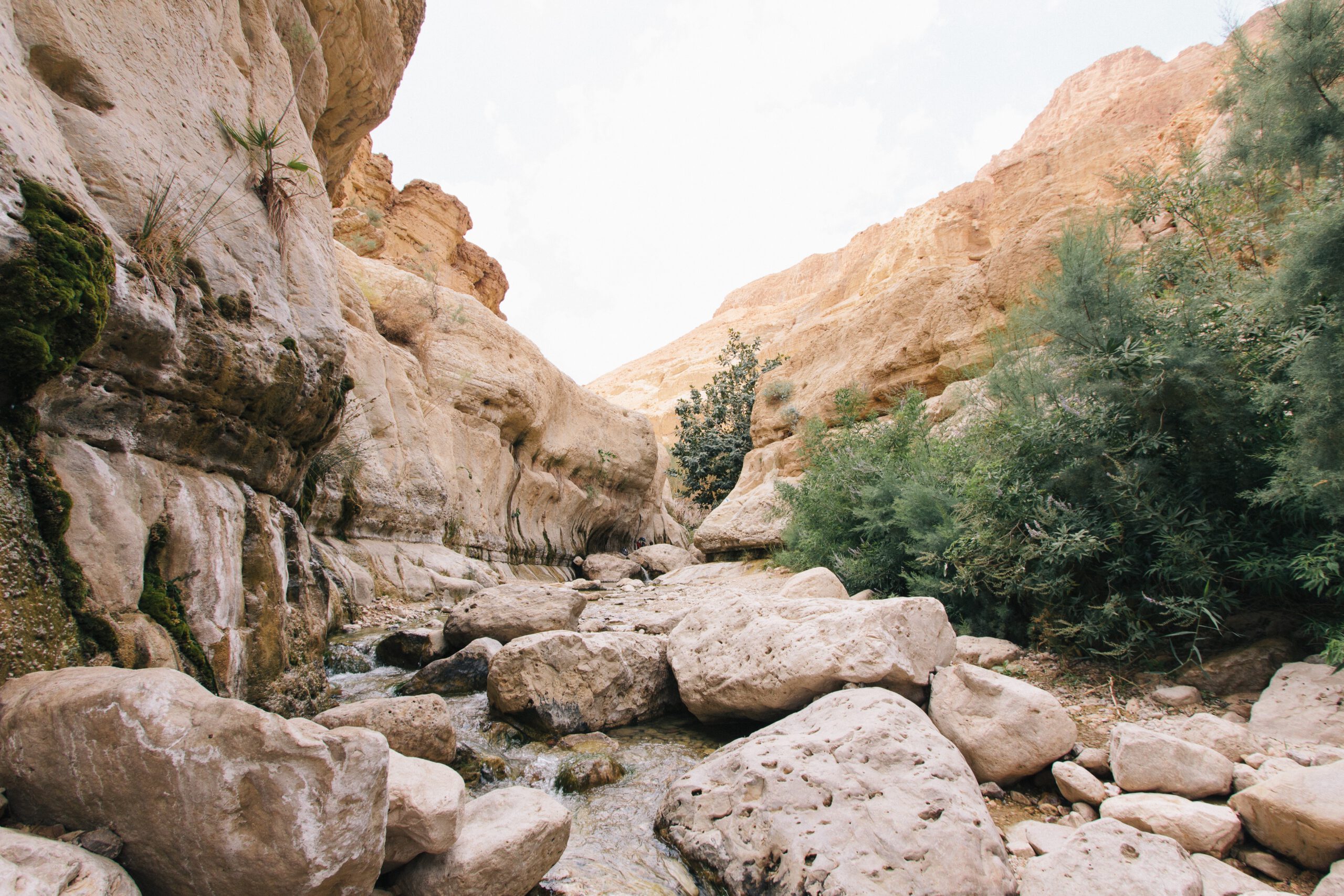 picture of rocks in a desert