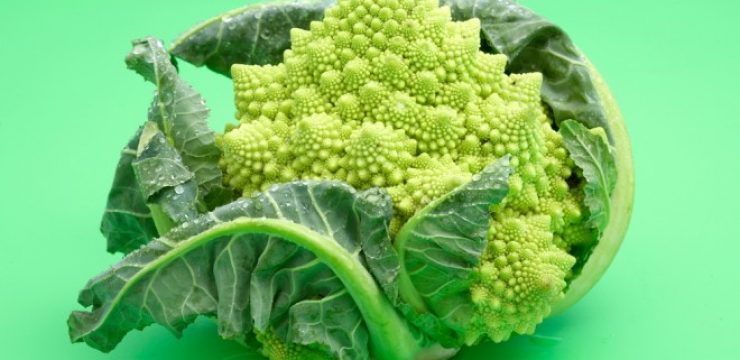 romanesco-brocolli.jpg