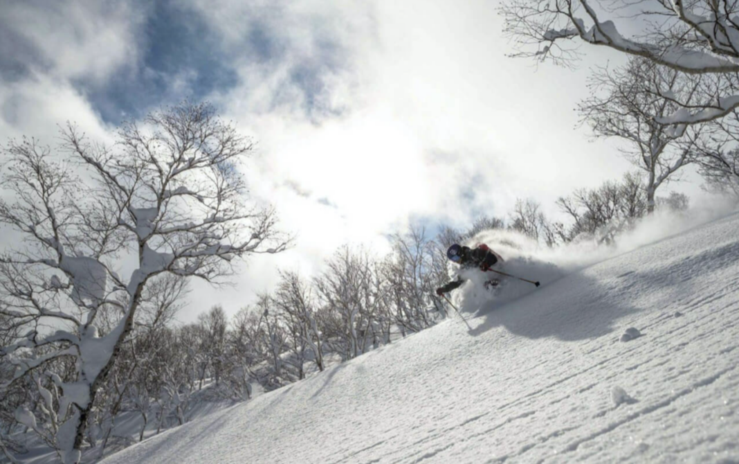 Japan powder