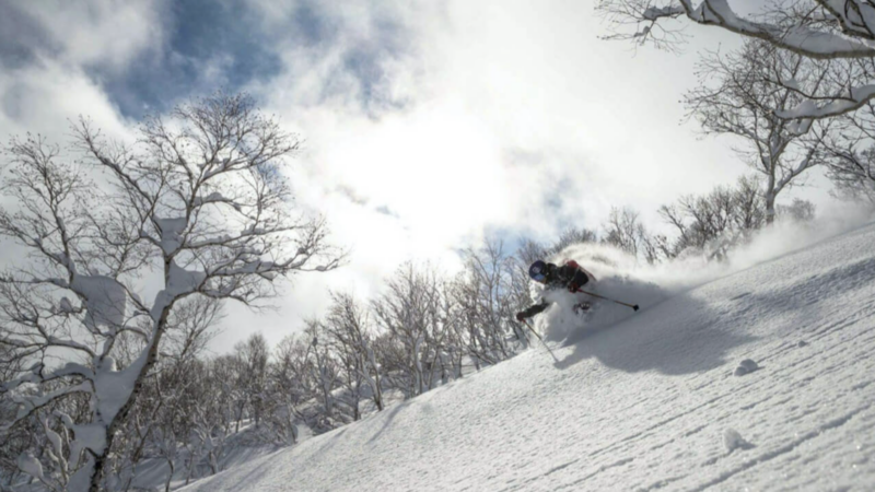 Ski Japan and skip the cherry blossoms