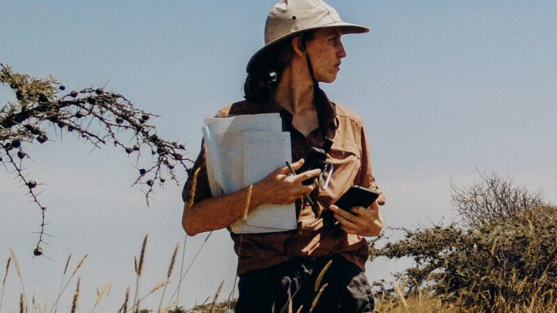 C3 AI: Leveraging Artificial Intelligence to Combat Climate Change