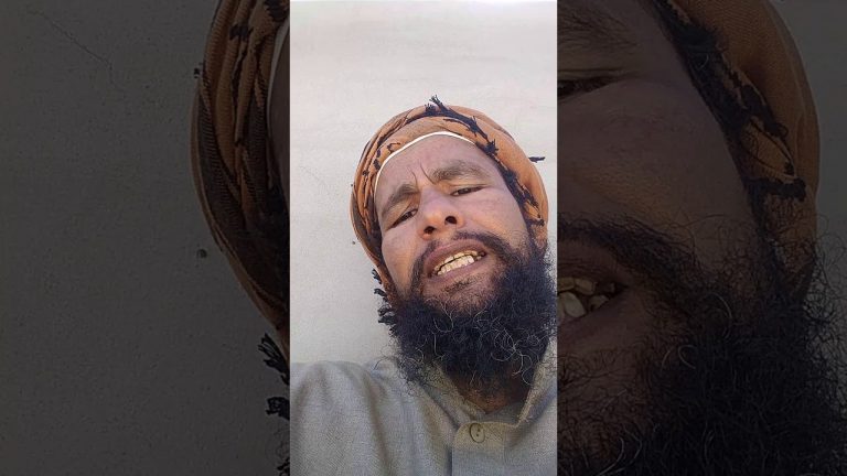 Saudi activist killed trying to stop mega city Neom