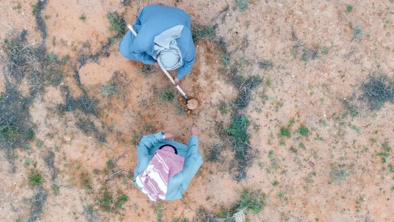 Arab agricultural land is on the brink