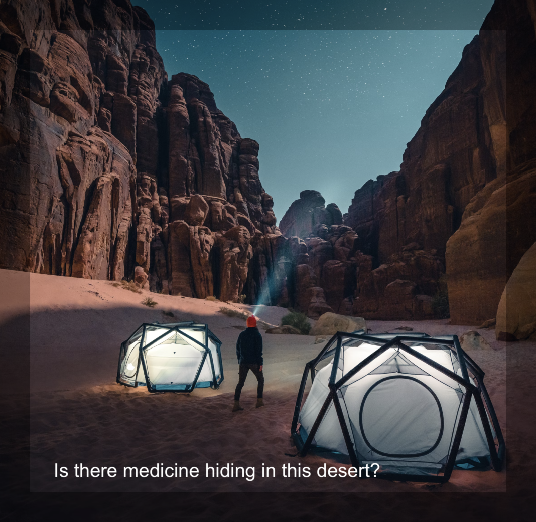 Plant hunter Saudi Arabia