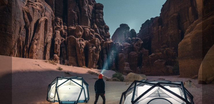 Plant hunter Saudi Arabia