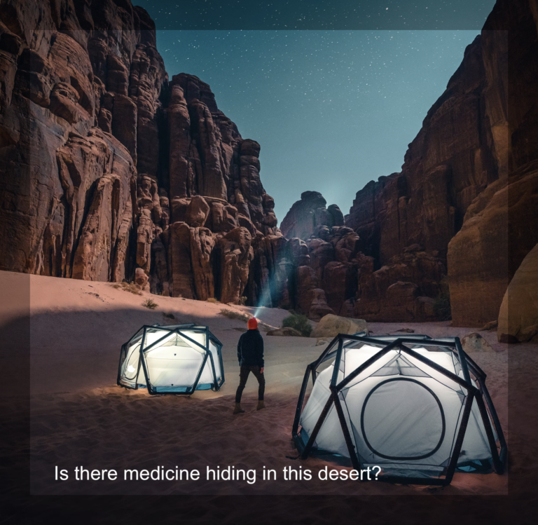 Saudi Arabia initiates a wild plant survey