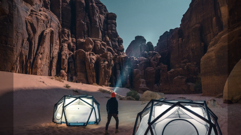 Saudi Arabia initiates a wild plant survey