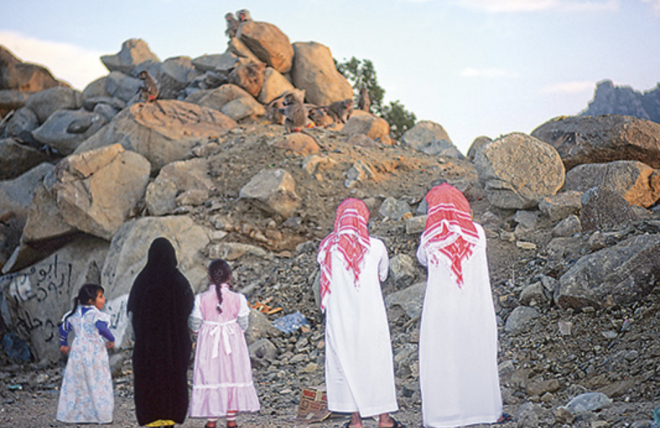 saudi family watch baboons