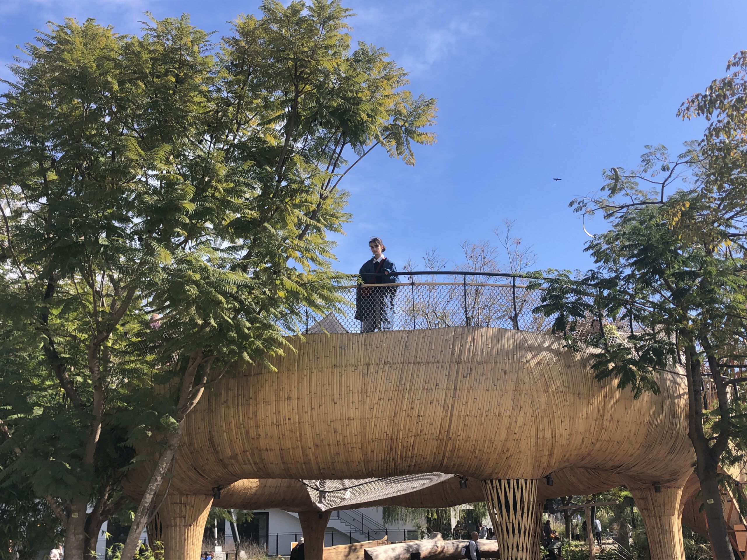 The bamboo treehouse is beautiful and shows us how adaptable this sustainable material is for building. 