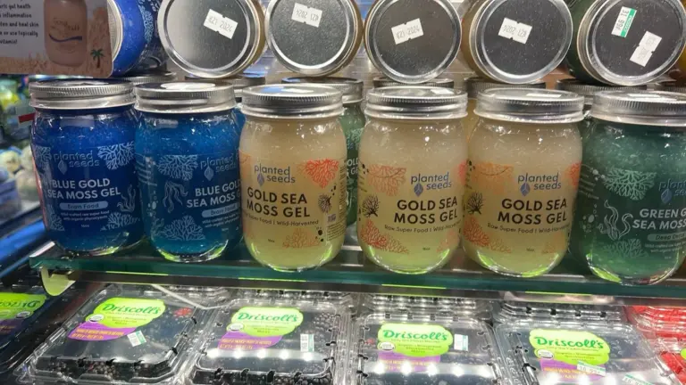 Sea Moss: The New Superfood, Or Just A Trend?
