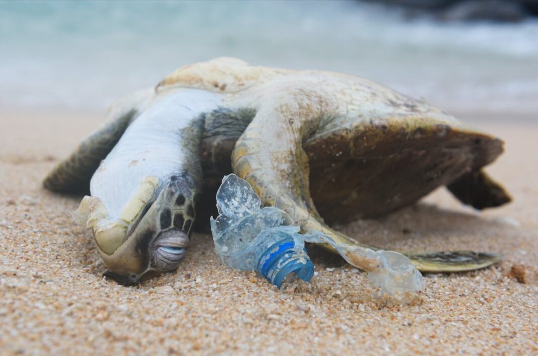 Gulf oil and chem companies educate on plastic problem
