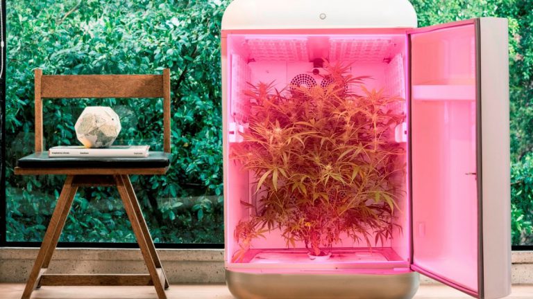 Sodastream’s CEO raises $4 million for cannabis grow company Seedo