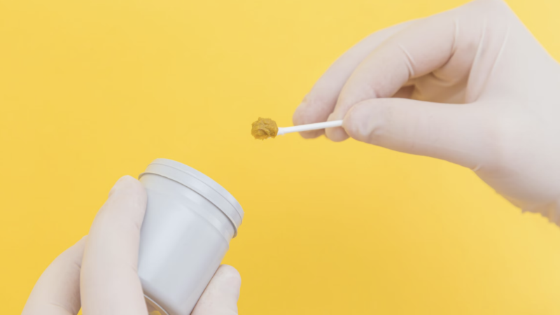 Fecal transplants “poop pills” safe for recovery after stem cell transplant