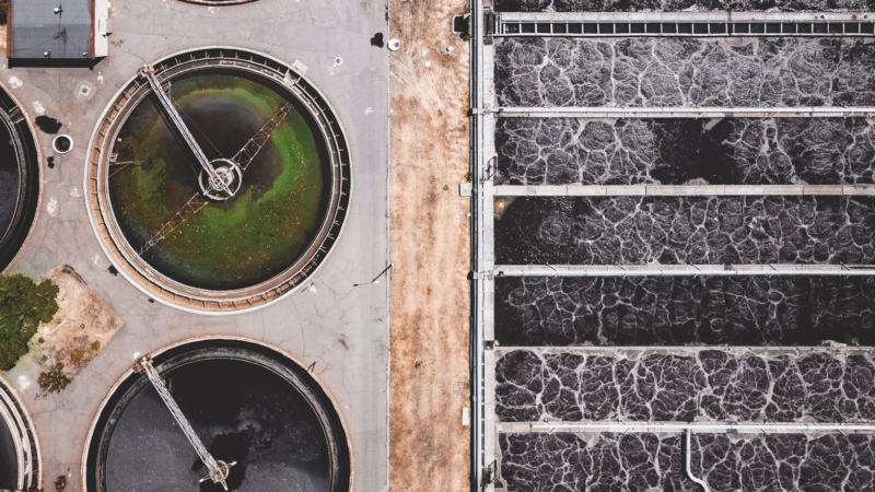 Zooplankton go eww to poo