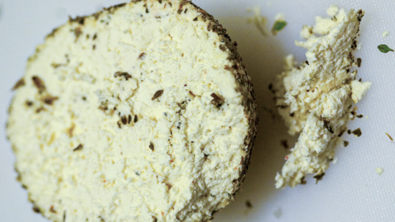 Make shanklish and meet slow cheese winners of the world