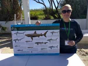 Please do not feed the sharks