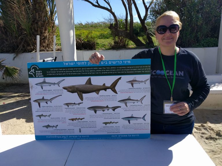 Please do not feed the sharks