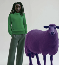 Top 10 Future-Forward and Sustainable Fashion Companies