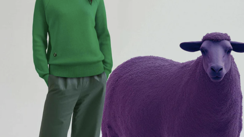 Top 10 Future-Forward and Sustainable Fashion Companies