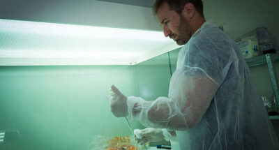 DuPont to make synthetic salmon from algae