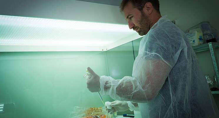 synthetic salmon made in a lab, dupont, simpliigood