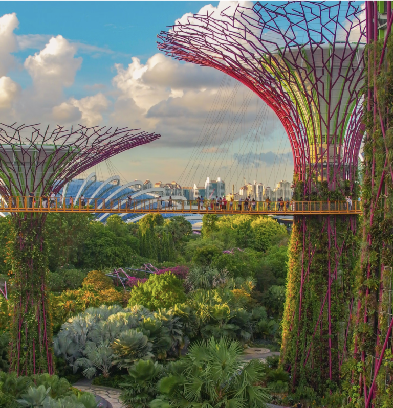 AI and the Accelerate 2050 conference