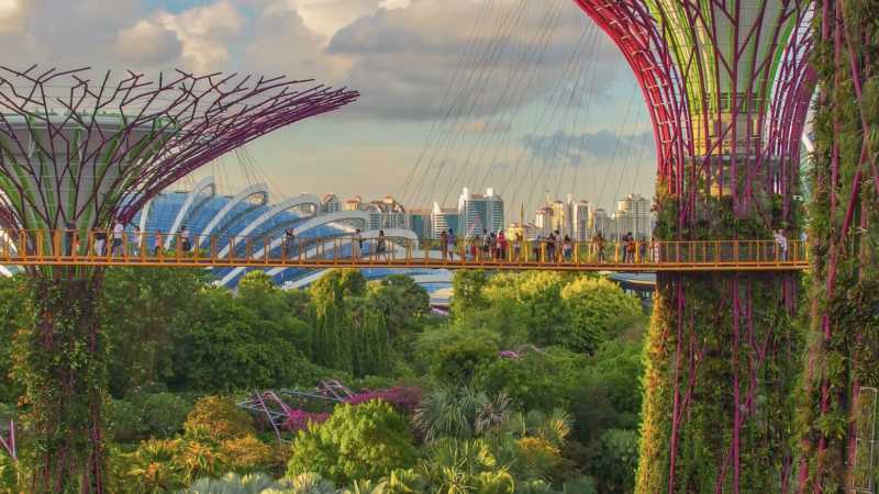 AI and the Accelerate 2050 conference