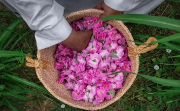 Taste Saudi Arabia’s Slow Food movement