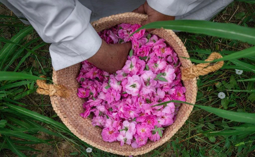 Slow Food in Saudi Arabia