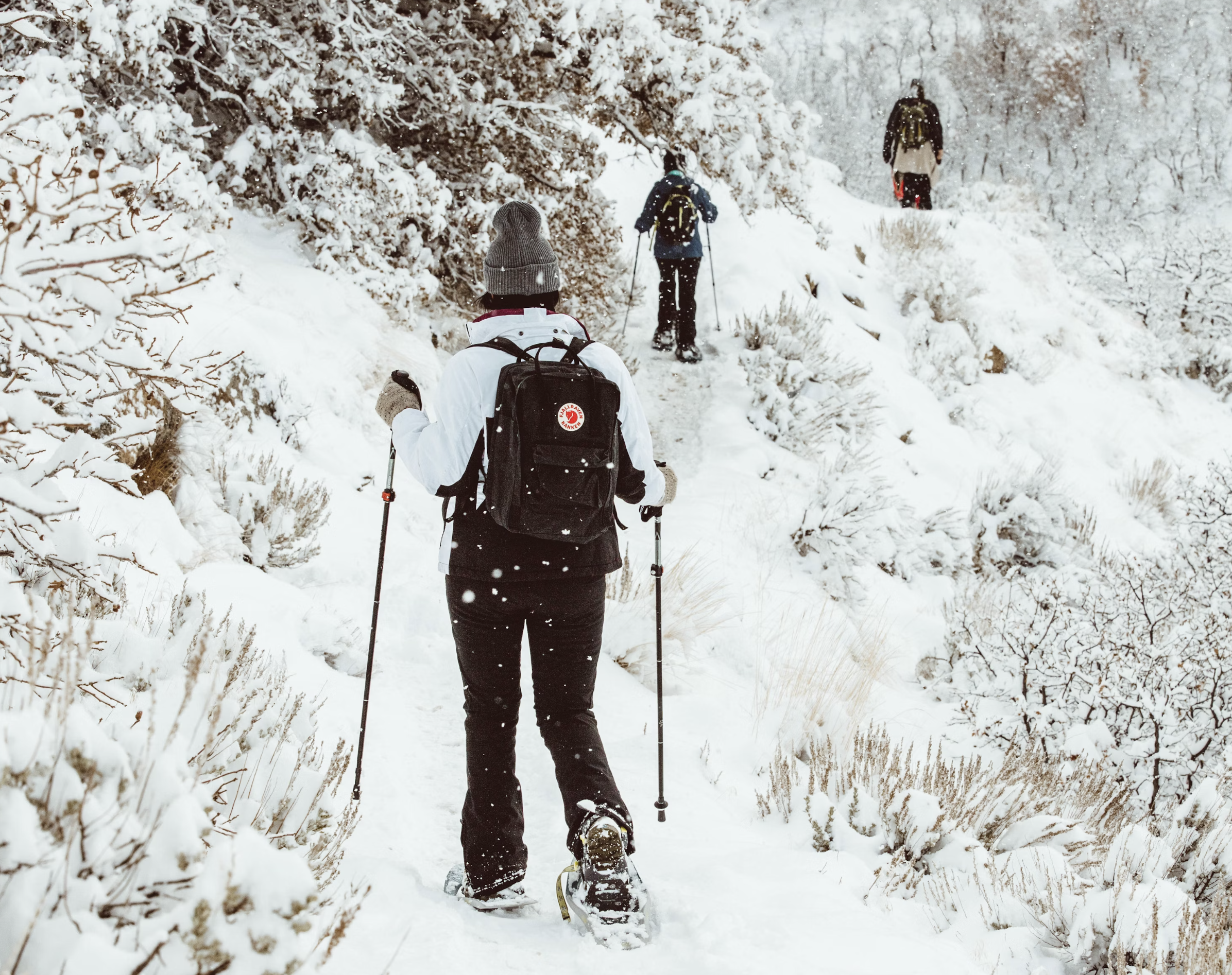 Snowshoeing in Canada