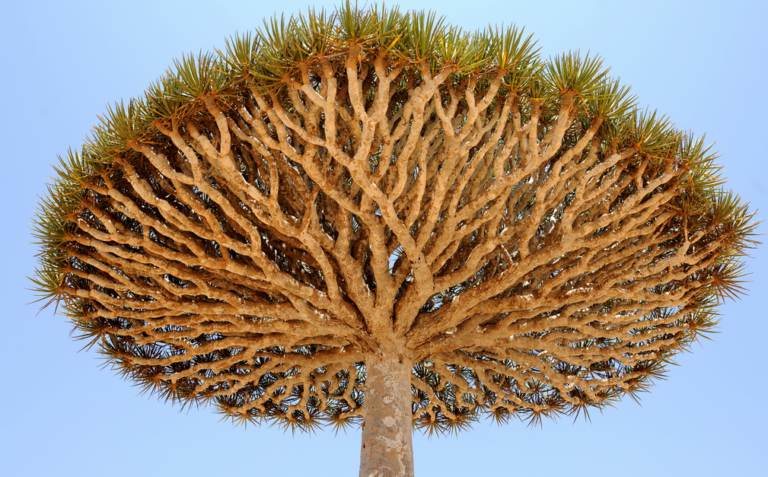 Why Sales Analytics is the Choice You Make Today