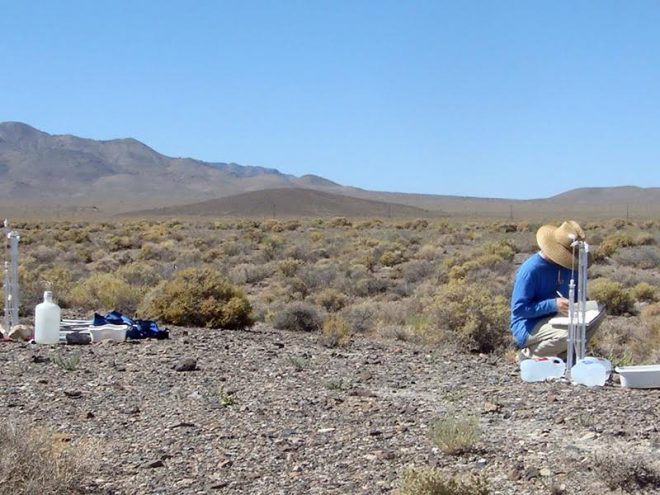 Judith Turk researching fragile desert soil