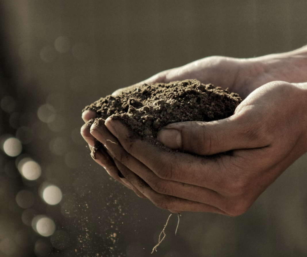 Soil has hidden antibiotics ready to be found –– and the new race to find them