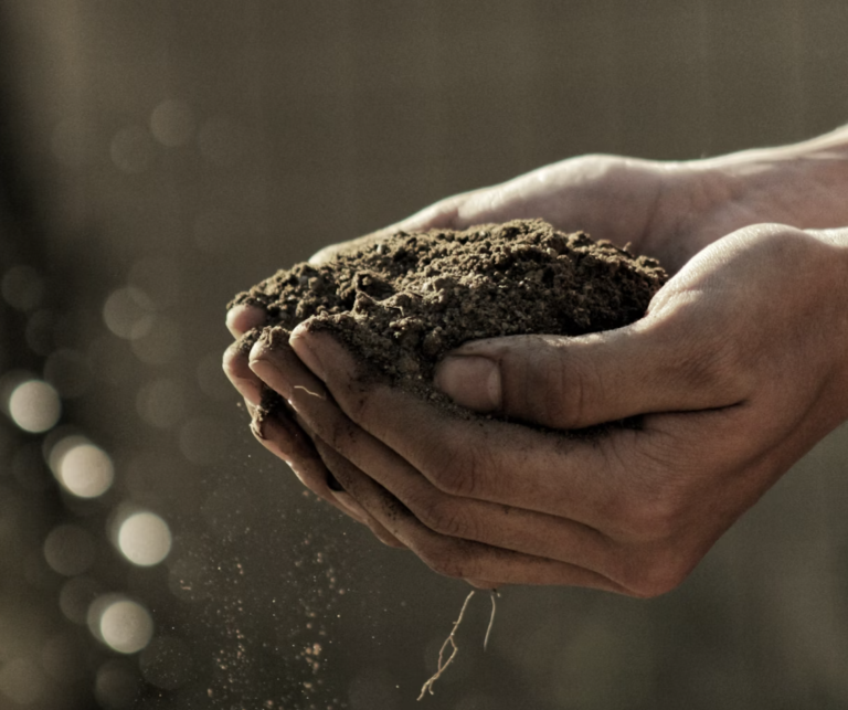 Soil has hidden antibiotics ready to be found –– and the new race to find them